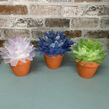 Tumbled Sea Glass Holiday Edition (Saturday, November 15th @ 1pm)