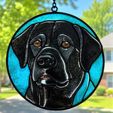 Pet Sun Catchers Fundraiser (Saturday, June 27 @ 2pm)