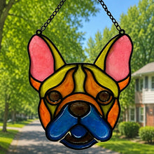 Pet Sun Catchers Fundraiser (Saturday, June 27 @ 2pm)