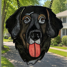 Pet Sun Catchers Fundraiser (Saturday, June 27 @ 2pm)