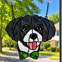 Pet Sun Catchers Fundraiser (Saturday, June 27 @ 2pm)