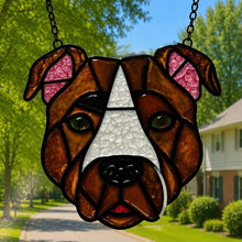 Pet Sun Catchers Fundraiser (Saturday, June 27 @ 2pm)