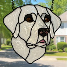Pet Sun Catchers Fundraiser (Saturday, June 27 @ 2pm)