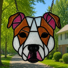 Pet Sun Catchers Fundraiser (Saturday, August 22nd @ 3pm)