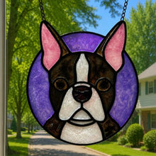 Pet Sun Catchers Fundraiser (Saturday, August 22nd @ 3pm)