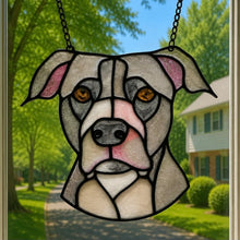Pet Sun Catchers Fundraiser (Saturday, August 22nd @ 3pm)