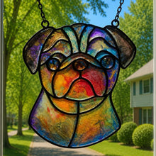 Pet Sun Catchers Fundraiser (Saturday, August 22nd @ 3pm)