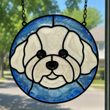 Pet Sun Catchers Fundraiser (Saturday, June 27 @ 2pm)