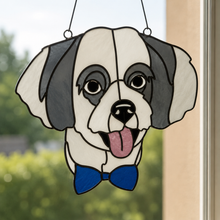 Pet Sun Catchers Fundraiser (Friday, May 29th @ 6pm)