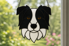Pet Sun Catchers Fundraiser (Friday, May 29th @ 6pm)