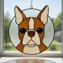 Pet Sun Catchers Fundraiser (Friday, May 29th @ 6pm)