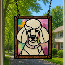 Pet Sun Catchers Fundraiser (Saturday, June 27 @ 2pm)