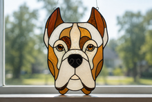 Pet Sun Catchers Fundraiser (Friday, May 29th @ 6pm)