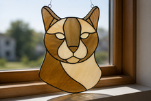 Pet Sun Catchers Fundraiser (Friday, May 29th @ 6pm)