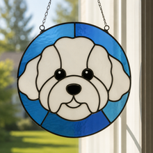 Pet Sun Catchers Fundraiser (Friday, May 29th @ 6pm)