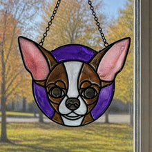 Pet Sun Catchers Fundraiser (Friday, May 29th @ 6pm)