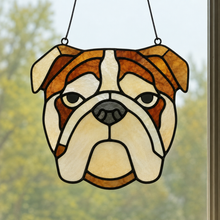 Pet Sun Catchers Fundraiser (Friday, May 29th @ 6pm)