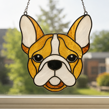 Pet Sun Catchers Fundraiser (Friday, May 29th @ 6pm)