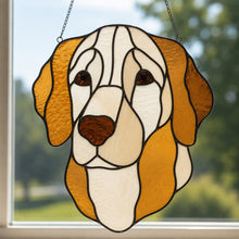 Pet Sun Catchers Fundraiser (Friday, May 29th @ 6pm)