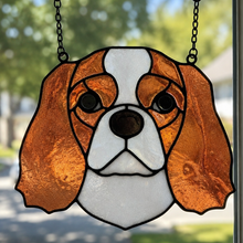 Pet Sun Catchers Fundraiser (Friday, May 29th @ 6pm)
