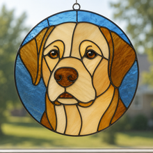 Pet Sun Catchers Fundraiser (Friday, May 29th @ 6pm)