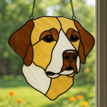 Pet Sun Catchers Fundraiser (Friday, May 29th @ 6pm)