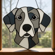 Pet Sun Catchers Fundraiser (Friday, May 29th @ 6pm)