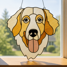 Pet Sun Catchers Fundraiser (Friday, May 29th @ 6pm)