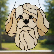 Pet Sun Catchers Fundraiser (Friday, May 29th @ 6pm)