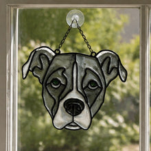 Pet Sun Catchers Fundraiser (Friday, May 29th @ 6pm)