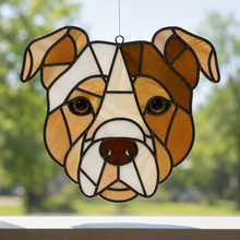 Pet Sun Catchers Fundraiser (Friday, May 29th @ 6pm)