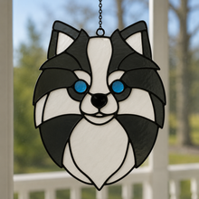 Pet Sun Catchers Fundraiser (Friday, May 29th @ 6pm)