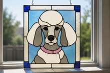 Pet Sun Catchers Fundraiser (Friday, May 29th @ 6pm)