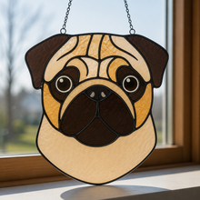 Pet Sun Catchers Fundraiser (Friday, May 29th @ 6pm)