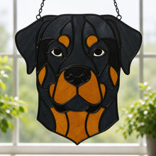 Pet Sun Catchers Fundraiser (Friday, May 29th @ 6pm)