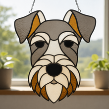 Pet Sun Catchers Fundraiser (Friday, May 29th @ 6pm)