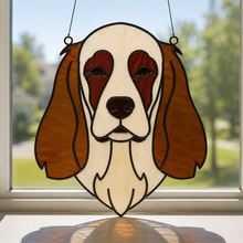 Pet Sun Catchers Fundraiser (Friday, May 29th @ 6pm)