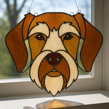 Pet Sun Catchers Fundraiser (Friday, May 29th @ 6pm)