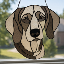 Pet Sun Catchers Fundraiser (Friday, May 29th @ 6pm)