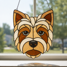 Pet Sun Catchers Fundraiser (Friday, May 29th @ 6pm)