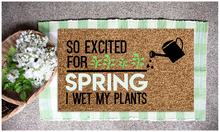 *Spring Doormats