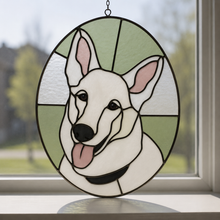 Pet Sun Catchers Fundraiser (Friday, May 29th @ 6pm)