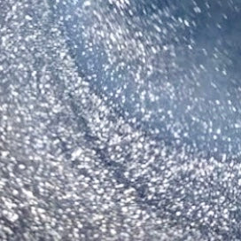Silver Glitter Paint (+$3)